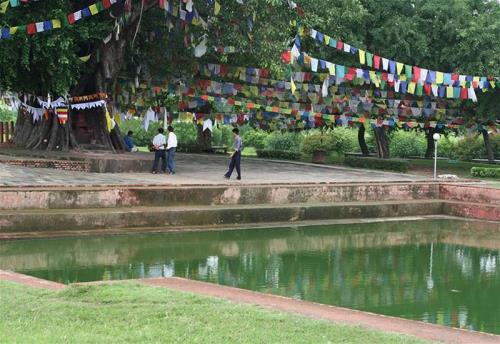 mung-ngay-dan-sinh-cua-duc-phat-02